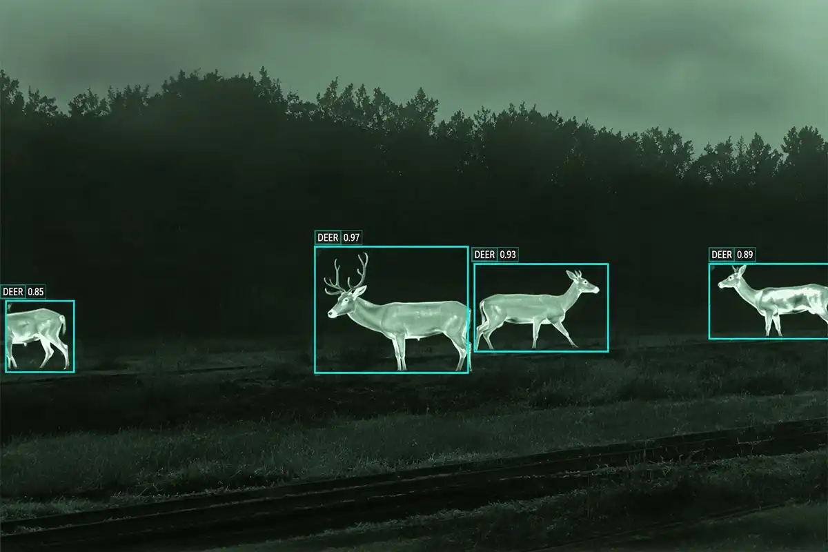AI wildlife monitoring system for airport safety