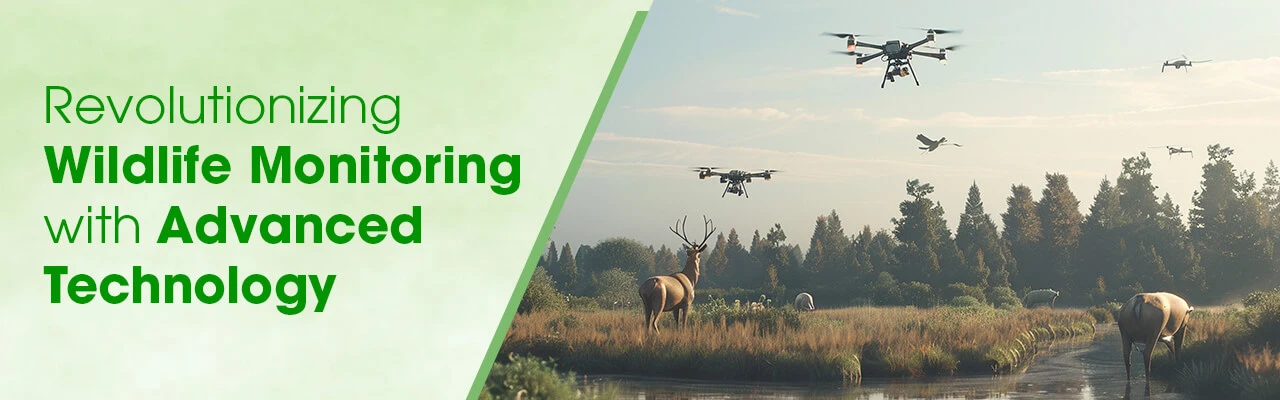 Wildlife_Monitoring-blog
