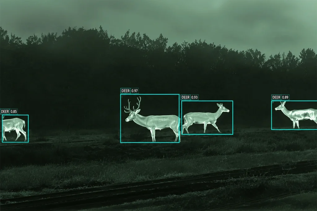 wild life monitoring